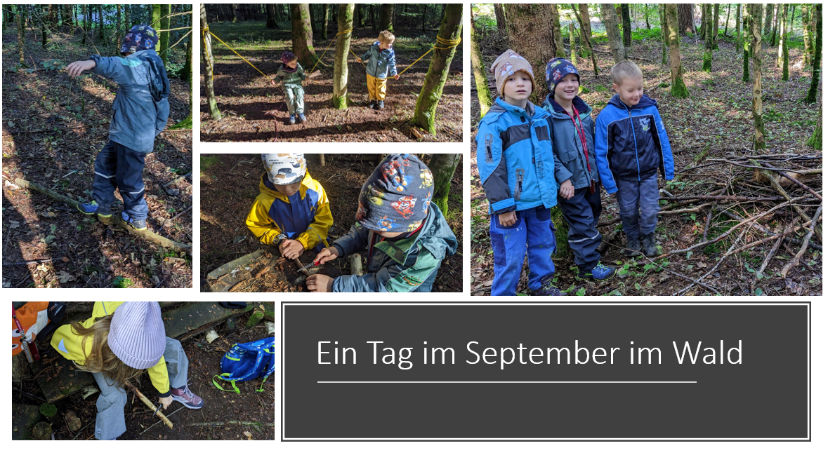 Ein_Tag_im_Wald.png