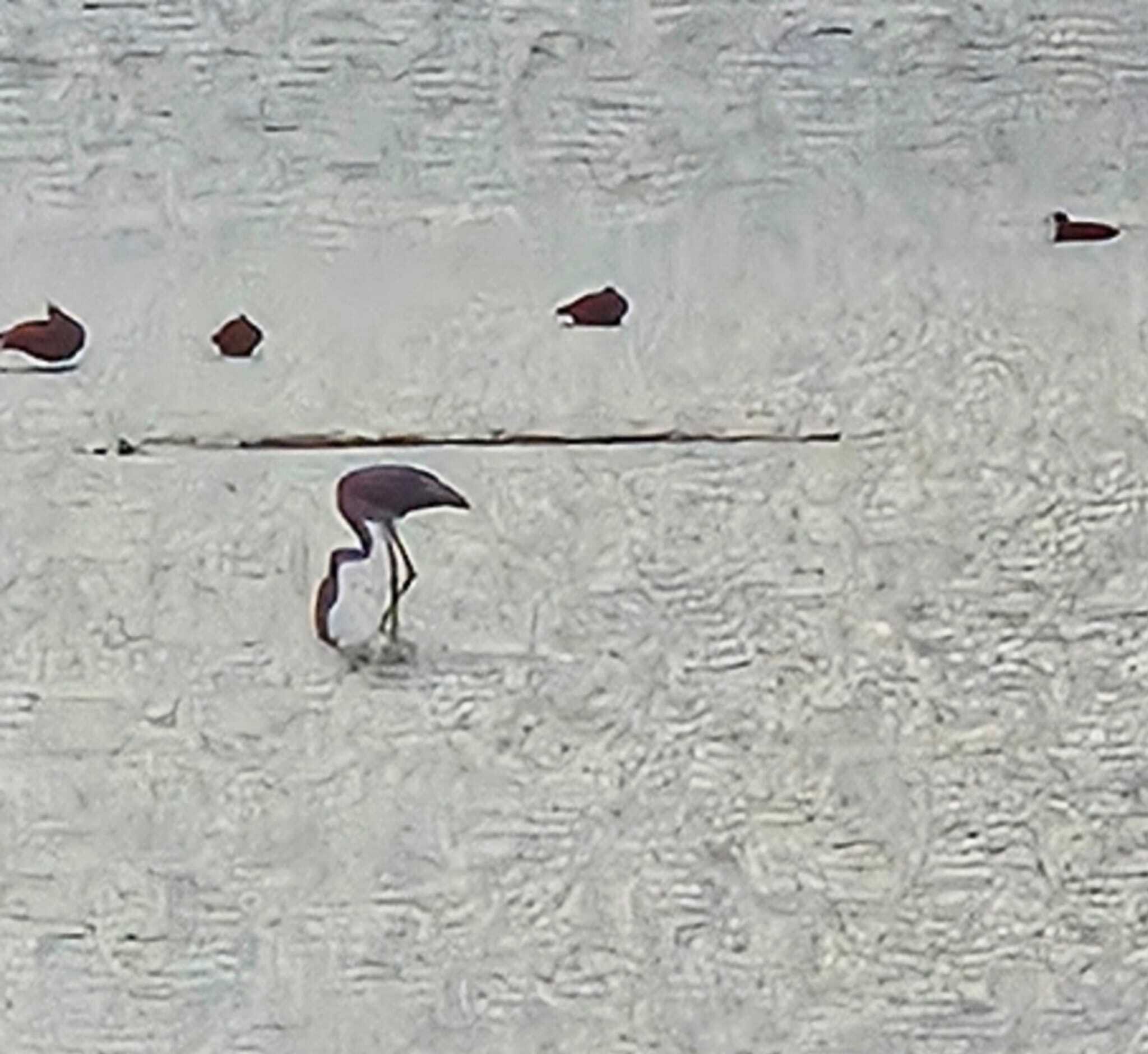 WhatsApp Bild 2025 09 16 um 16.10.12 778a1287